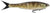 Berkley Powerbait Nessie Soft Plastic Lure 5in