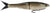 Berkley Powerbait Nessie Soft Plastic Lure 5in