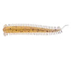 Berkley Powerbait Sandworm Soft Plastic Lure 2.5