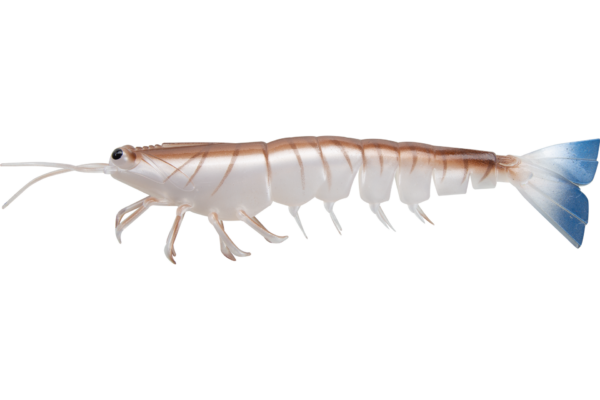 Irukandji Megaprawn Soft Plastic Lure 3in