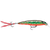 Rapala X Rap 6 Hard Body Lure XR06