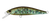 Daiwa Silvercreek DR Minnow Hard Body Lure 50S