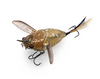 Chasebaits Ripple Cicada Surface Walker Lure 55mm