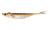 Nomad Design Live Ops Cobra Shad Soft Plastic Lure 4.5in