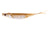 Nomad Design Live Ops Cobra Shad Soft Plastic Lure 4.5in