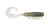 Rapala Crush City Creeper Soft Plastic Lure 3.25in