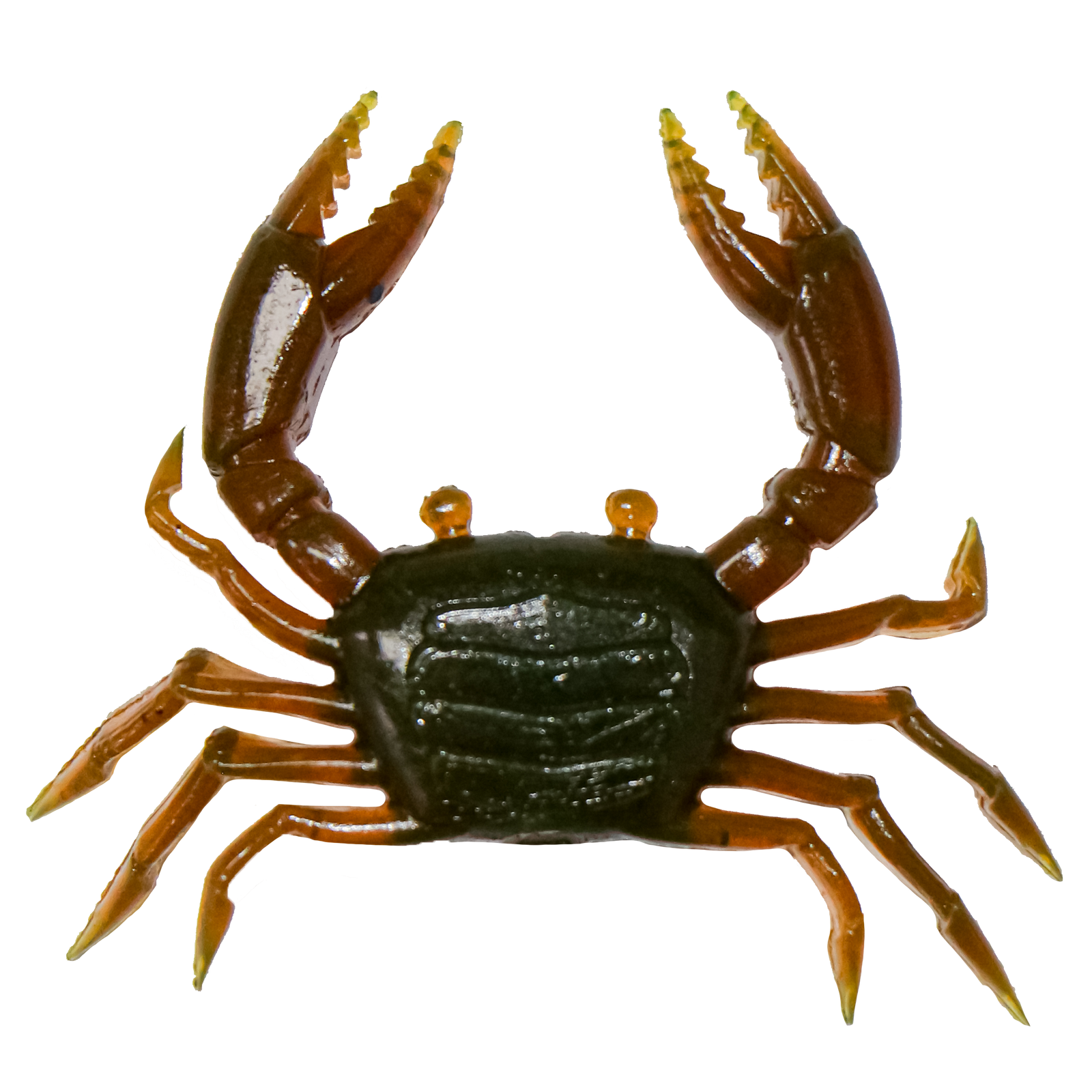 Rapala Crush City Trickster Crab Soft Plastic Lure 1.5in