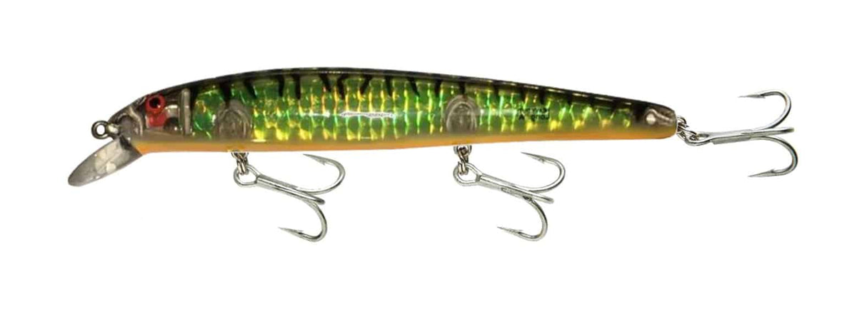 Bomber SW Long A Hard Body Lure 16A - 150mm