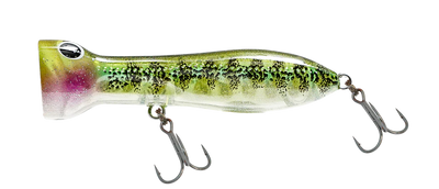 Nomad Design Chug Norris 50mm 4g Popper Fishing Lure