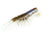 Chasebaits Curly Prawn Soft Plastic Lure 90mm