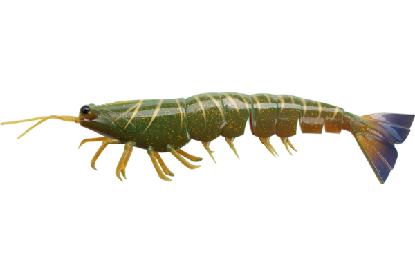 Irukandji Megaprawn Soft Plastic Lure 5in