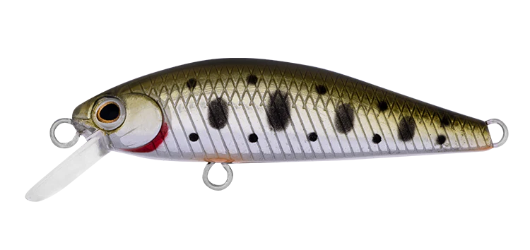 Daiwa Silvercreek DR Minnow Hard Body Lure 42S