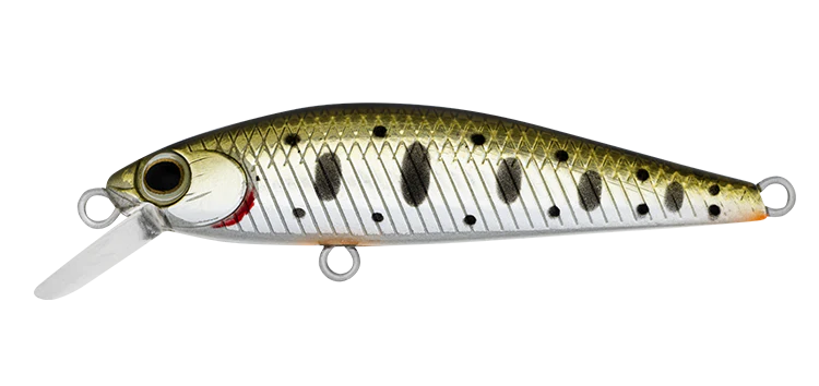 Daiwa Silvercreek DR Minnow Hard Body Lure 50S