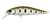 Daiwa Silvercreek DR Minnow Hard Body Lure 50S