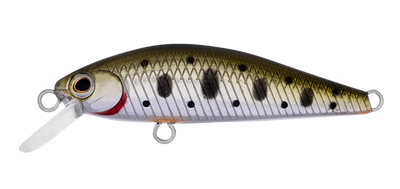 Daiwa Silvercreek DR Minnow Hard Body Lure 42S