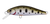 Daiwa Silvercreek DR Minnow Hard Body Lure 42S