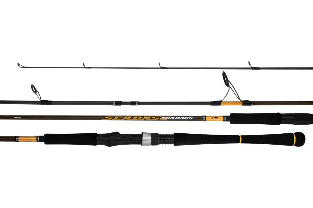 Daiwa 23 Seabass Surf Spin Rod