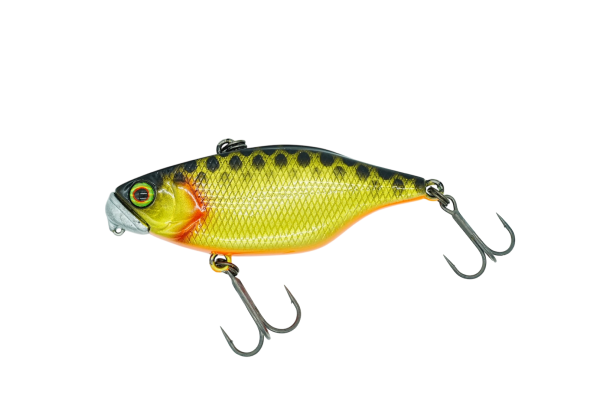 Jackall Dstyle TN60 SS Da Kinkuoro
