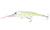 Nomad Design DTX Minnow 140mm 50g Floating Hard Body Lure
