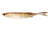 Nomad Design Live Ops Fallout Minnow Soft Plastic Lure 3.5in