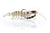 Chasebaits Flick Prawn 95mm Soft Plastic Lure