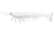 Irukandji Megaprawn Soft Plastic Lure 5in