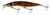 Classic Barra F18 +8 Plus 8 Hard Body Lure