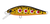 Daiwa Silvercreek DR Minnow Hard Body Lure 42S