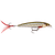 Rapala X Rap 6 Hard Body Lure XR06