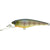 Lucky Craft Bevy Shad Hard Body Lure 60SP