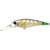 Lucky Craft Bevy Shad Hard Body Lure 60SP