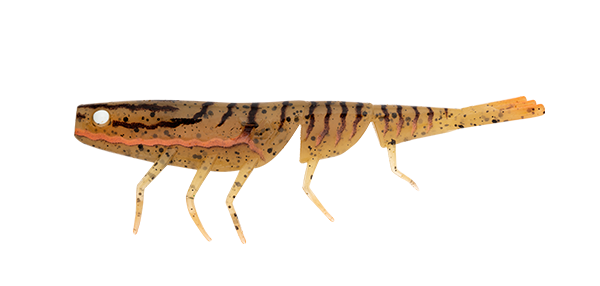 Daiwa Bait Junkie Prawn 4in - Pumpkin Spice