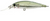 Lucky Craft Pointer Hard Body Lure 48DD