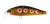 Daiwa Silvercreek DR Minnow Hard Body Lure 42S