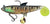 Molix Shad 185mm Soft Plastic Swimbait Lure