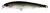 Lucky Craft Flash Minnow Hard Body Lure 65TR