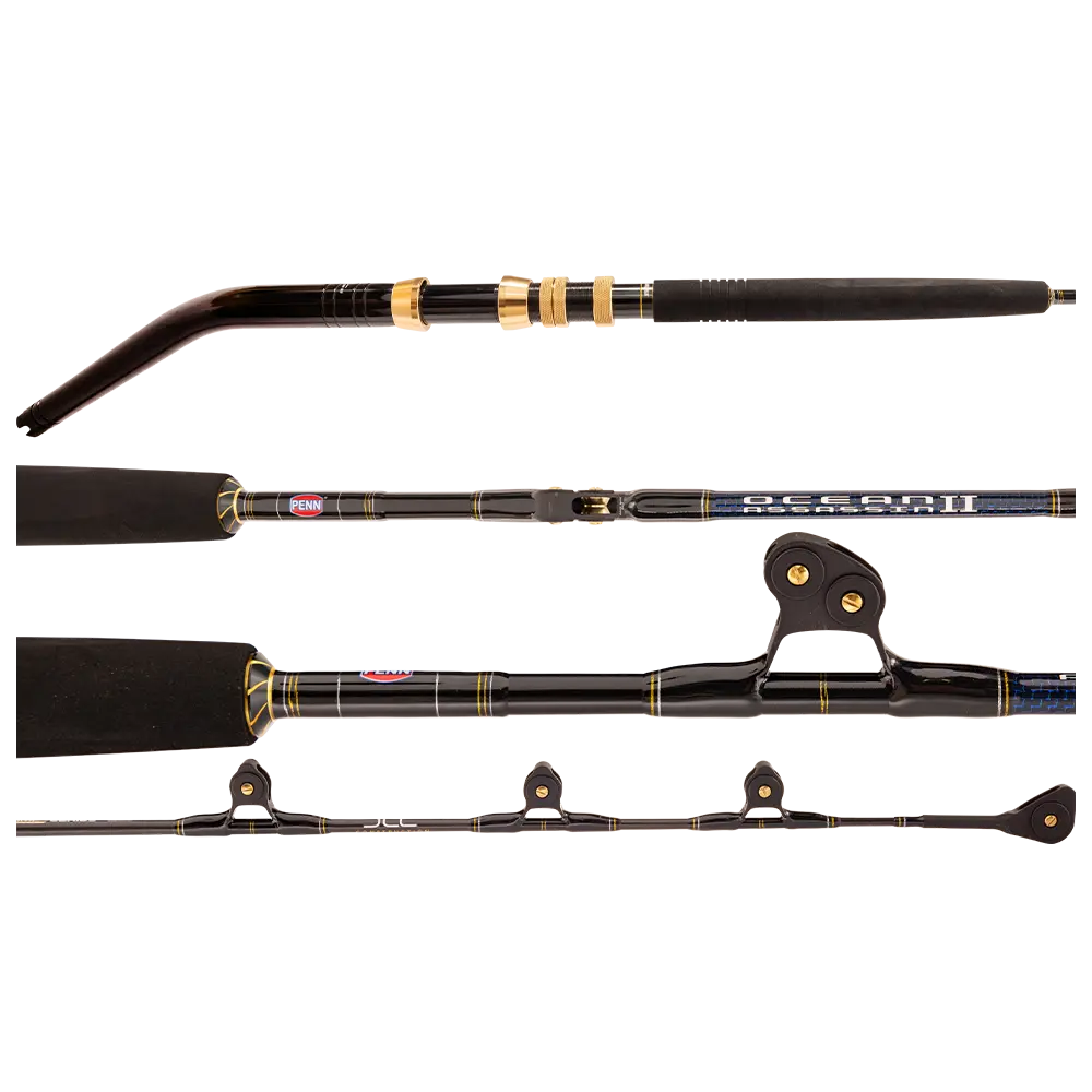 Penn Ocean Assassin II Game Overhead Rod
