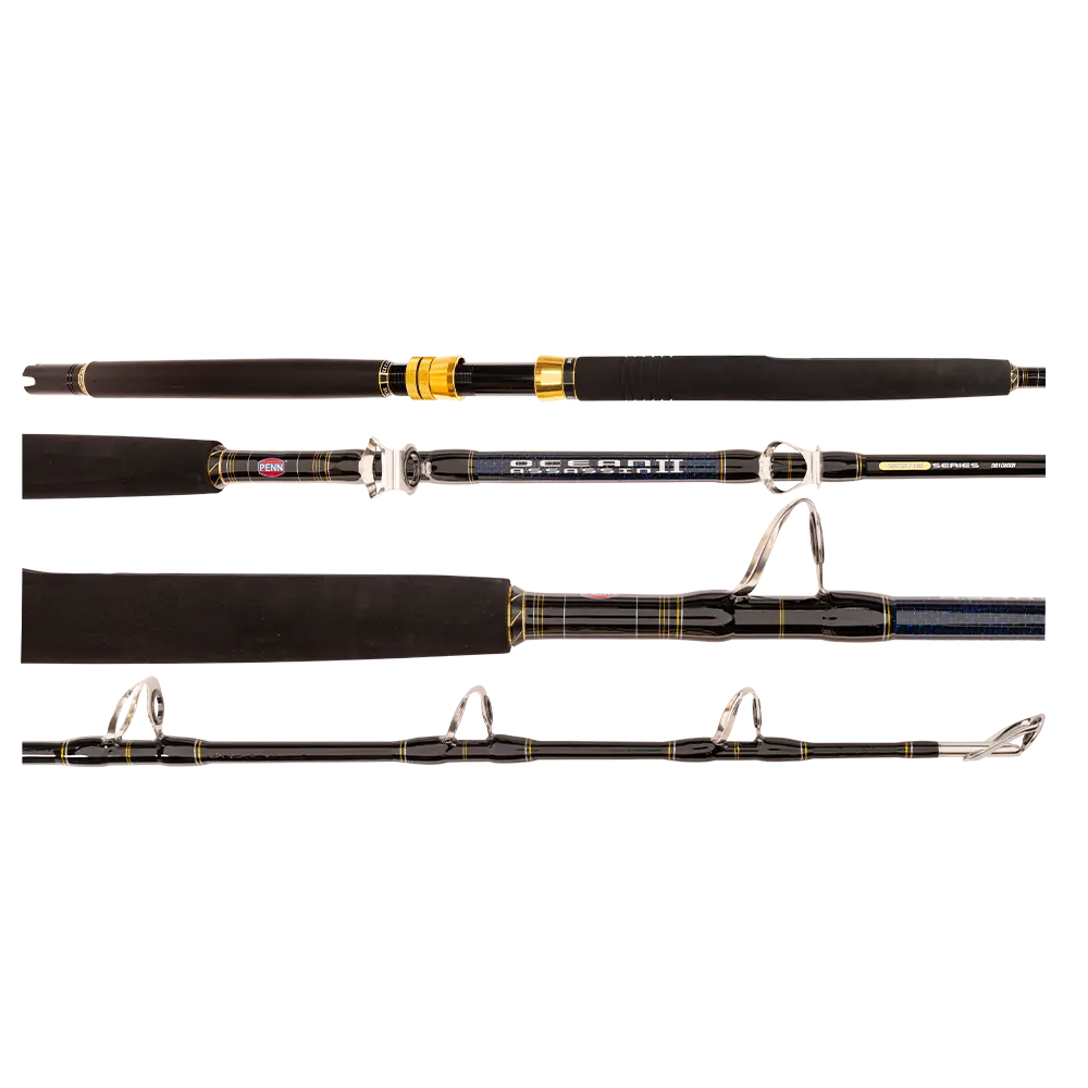 Penn Fathom Ocean Assasin Electric Combo 50