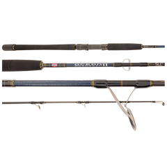 assassin 2 fishing pole Penn Ocean Assassin II Spin Rod