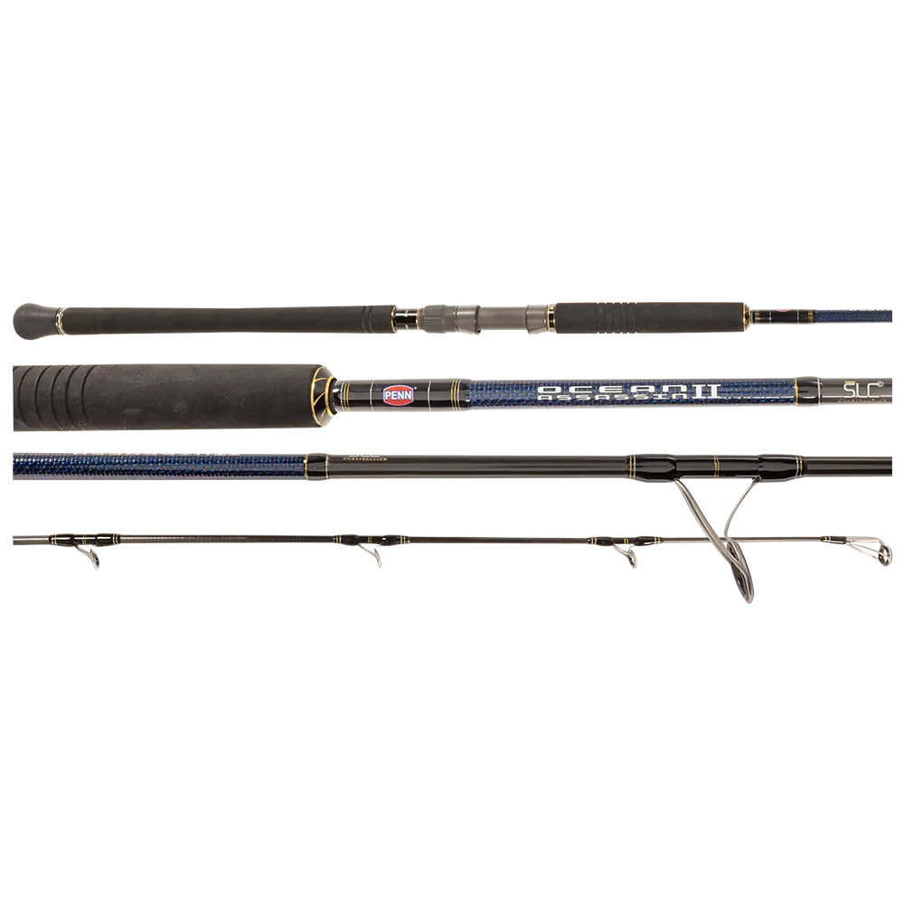Penn Ocean Assassin II Spin Rod