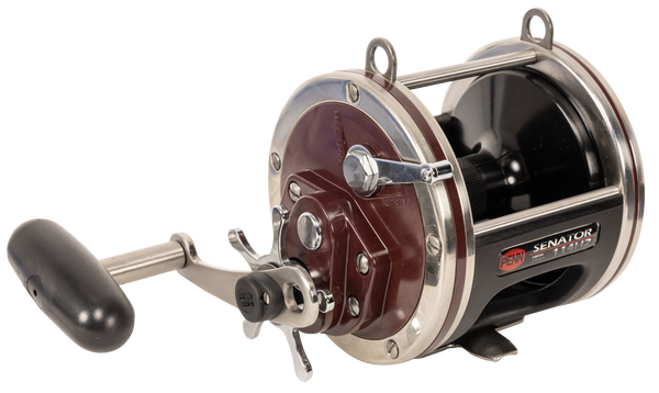 Penn Special Senator 114H2 6/0 Overhead Reel - Davo's Tackle
