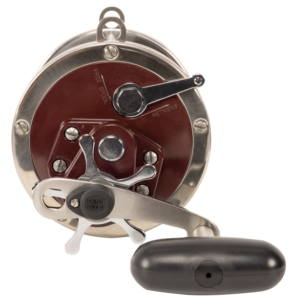 Penn Special Senator 114H2 6/0 Overhead Reel | Davo