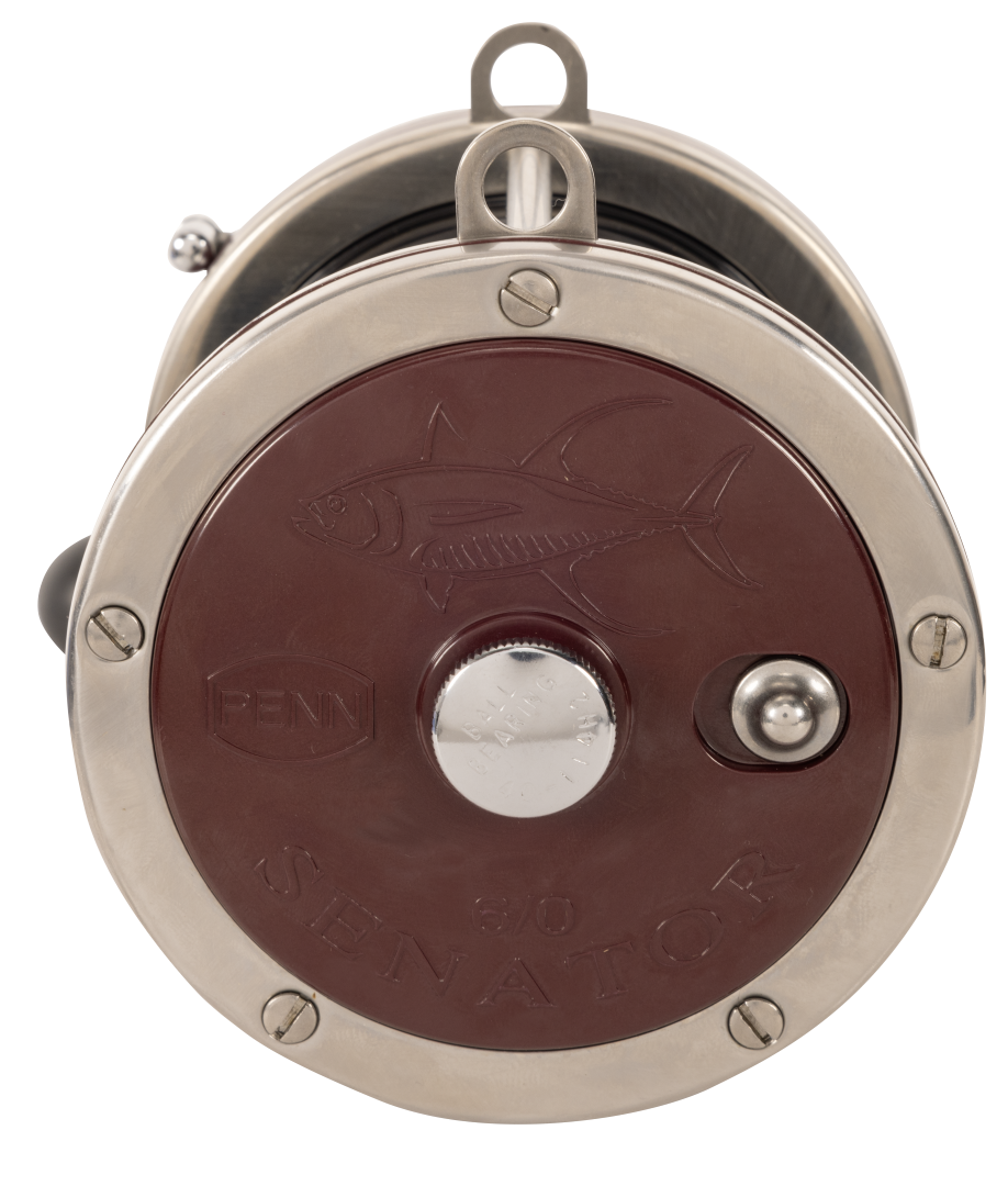 Penn Special Senator 114H2 6/0 Overhead Reel