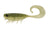 Nomad Design Live Ops Radiax Curltail Grub Soft Plastic Lure 2.5in