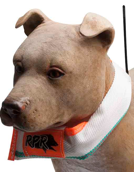 RPR Pig Dog Collar Saver
