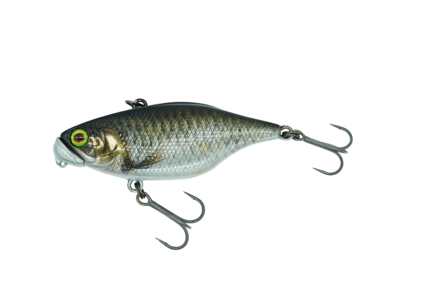Jackall Dstyle TN60 SS RT School Kobuna