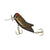 Rebel Crickhopper Surface Walker Lure