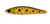 Daiwa SilverCreek Dr Minnow Hard Body Lure 70F