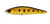Daiwa SilverCreek Dr Minnow Hard Body Lure 70F