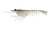 Nomad Design Live Ops Switcher Shrimp Soft Plastic Lure 2.3in
